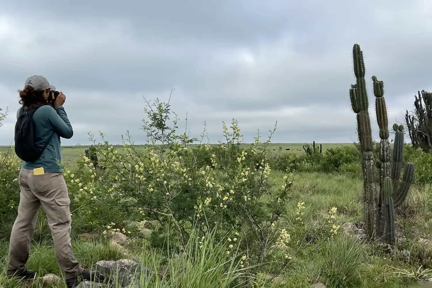 Profissional registrando a paisagem de campo, com cactos ao fundo