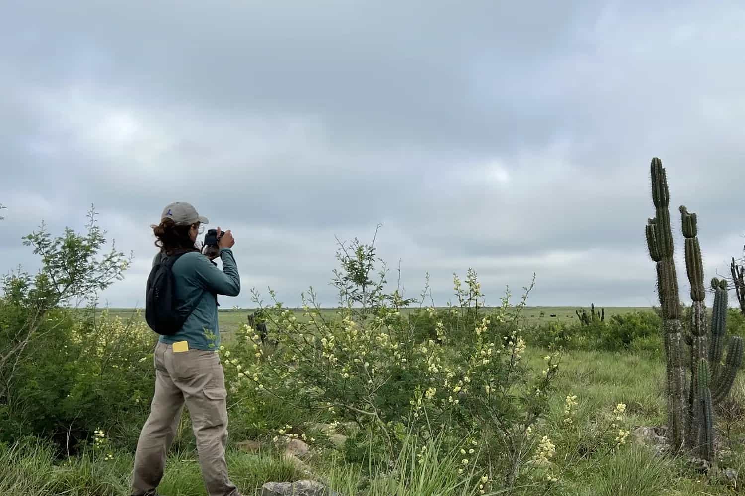 Profissional fotografando a vegetação em campo, ao lado de cactos e arbustos floridos